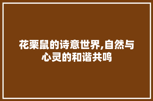 花栗鼠的诗意世界,自然与心灵的和谐共鸣