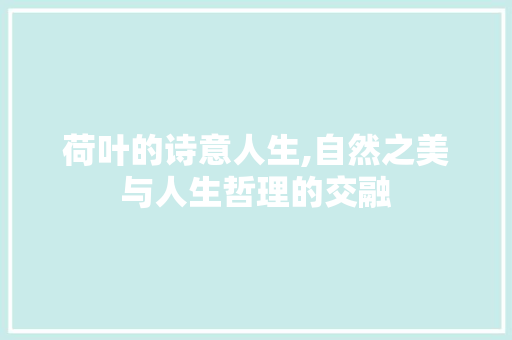荷叶的诗意人生,自然之美与人生哲理的交融 诗词佳句
