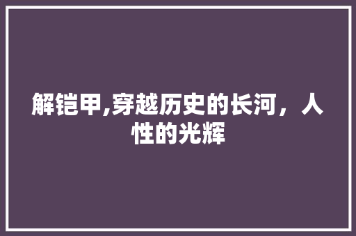 解铠甲,穿越历史的长河，人性的光辉 英语单词