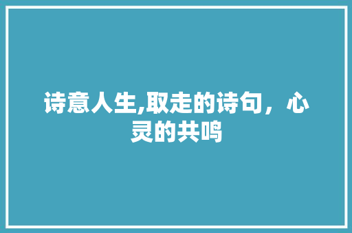 诗意人生,取走的诗句，心灵的共鸣 古代典籍
