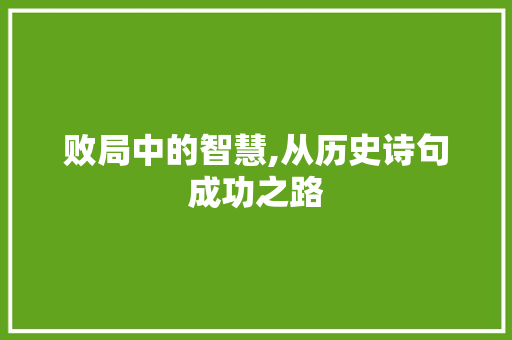 败局中的智慧,从历史诗句成功之路
