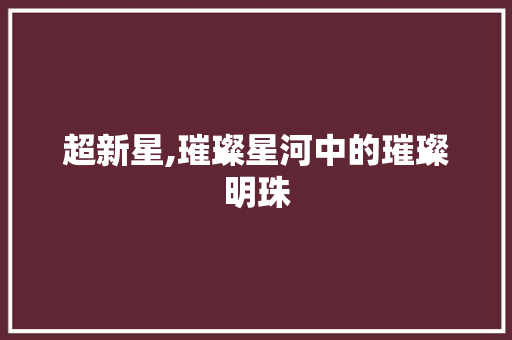 超新星,璀璨星河中的璀璨明珠 近义词汇