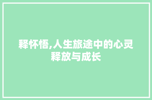 释怀悟,人生旅途中的心灵释放与成长