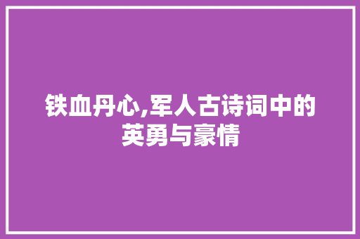 铁血丹心,军人古诗词中的英勇与豪情