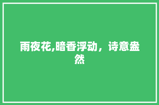 雨夜花,暗香浮动，诗意盎然