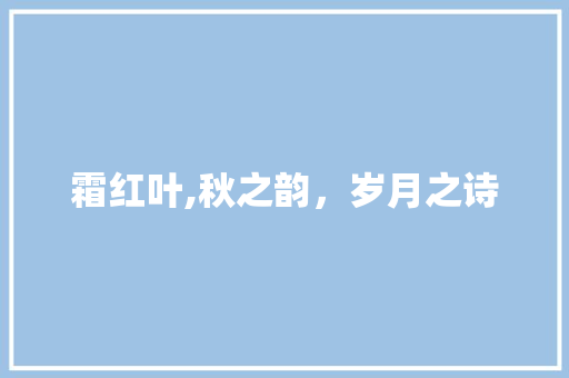 霜红叶,秋之韵，岁月之诗
