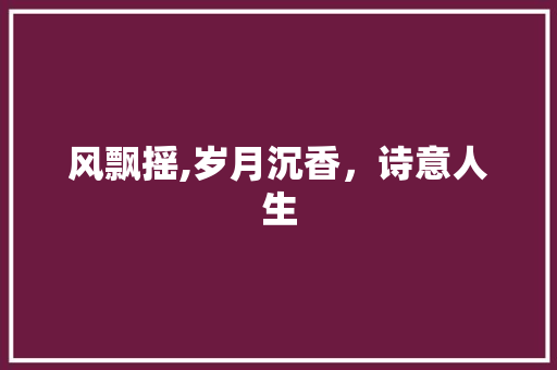 风飘摇,岁月沉香，诗意人生
