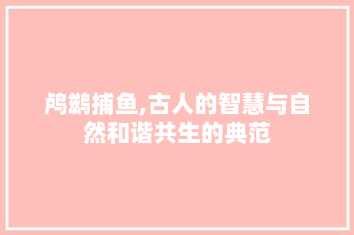 鸬鹚捕鱼,古人的智慧与自然和谐共生的典范