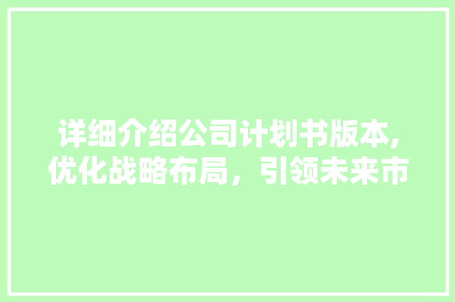 详细介绍公司计划书版本,优化战略布局，引领未来市场