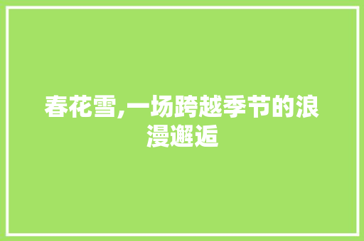 春花雪,一场跨越季节的浪漫邂逅
