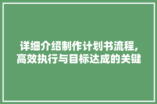 详细介绍制作计划书流程,高效执行与目标达成的关键路径