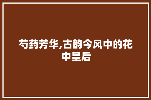 芍药芳华,古韵今风中的花中皇后