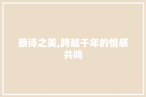 蔡诗之美,跨越千年的情感共鸣