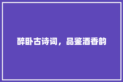 醉卧古诗词，品鉴酒香韵 问答