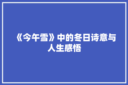 《今午雪》中的冬日诗意与人生感悟