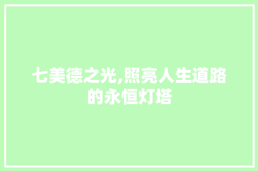 七美德之光,照亮人生道路的永恒灯塔 反义词汇