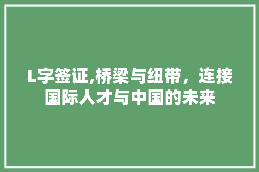 L字签证,桥梁与纽带，连接国际人才与中国的未来 近义词汇