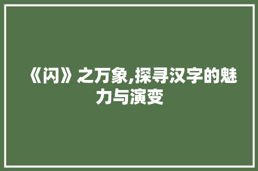 《闪》之万象,探寻汉字的魅力与演变