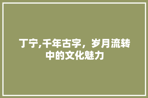 丁宁,千年古字，岁月流转中的文化魅力