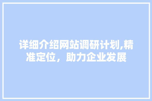 详细介绍网站调研计划,精准定位，助力企业发展