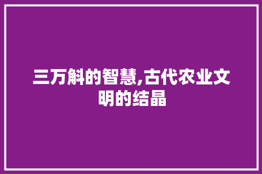 三万斛的智慧,古代农业文明的结晶 问答