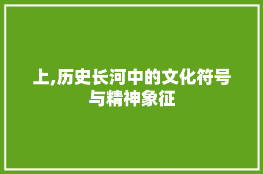 上,历史长河中的文化符号与精神象征