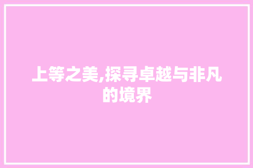 上等之美,探寻卓越与非凡的境界