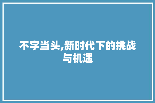 不字当头,新时代下的挑战与机遇