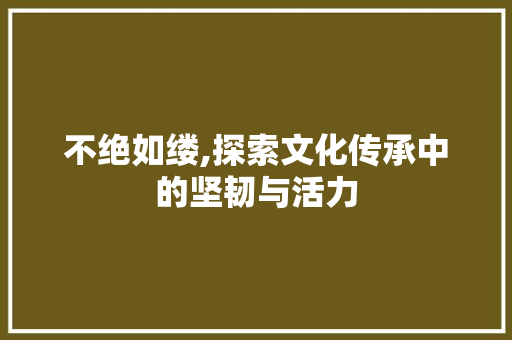 不绝如缕,探索文化传承中的坚韧与活力 短语