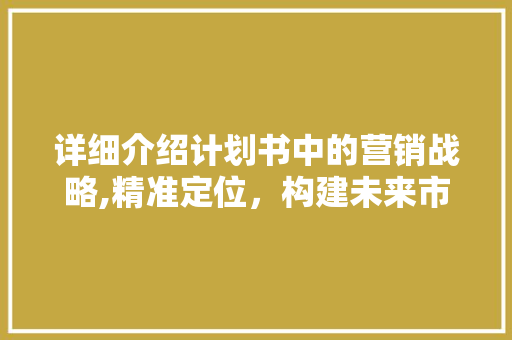 详细介绍计划书中的营销战略,精准定位，构建未来市场蓝图