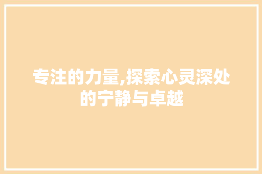 专注的力量,探索心灵深处的宁静与卓越