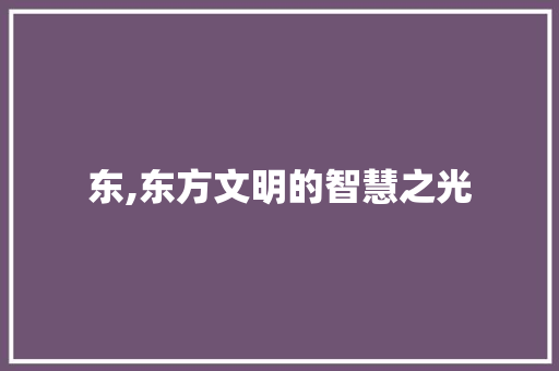 东,东方文明的智慧之光