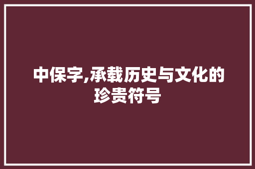 中保字,承载历史与文化的珍贵符号