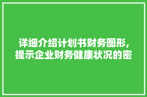 详细介绍计划书财务图形,提示企业财务健康状况的密码