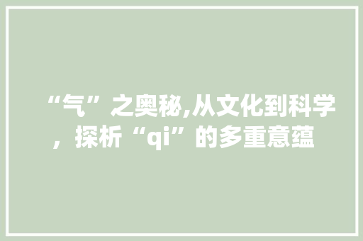 “气”之奥秘,从文化到科学，探析“qi”的多重意蕴