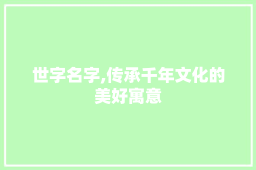 世字名字,传承千年文化的美好寓意