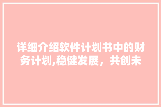 详细介绍软件计划书中的财务计划,稳健发展，共创未来