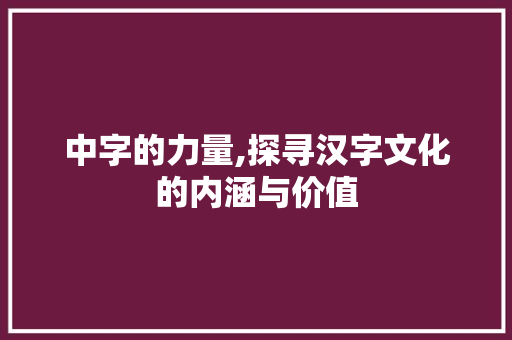 中字的力量,探寻汉字文化的内涵与价值