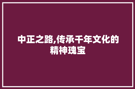 中正之路,传承千年文化的精神瑰宝