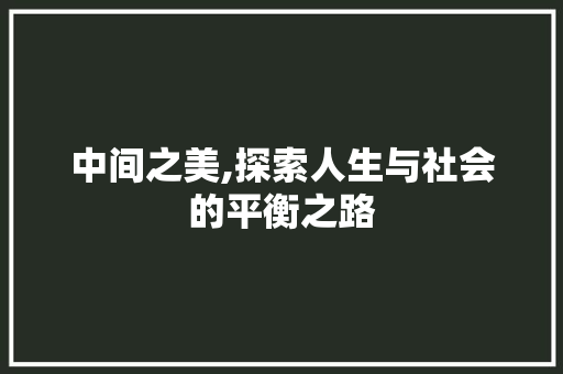 中间之美,探索人生与社会的平衡之路