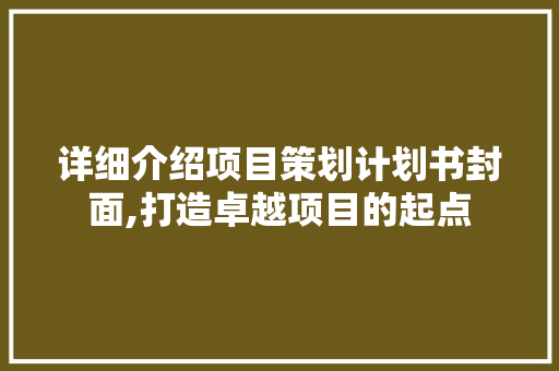 详细介绍项目策划计划书封面,打造卓越项目的起点