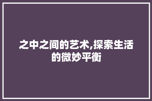 之中之间的艺术,探索生活的微妙平衡