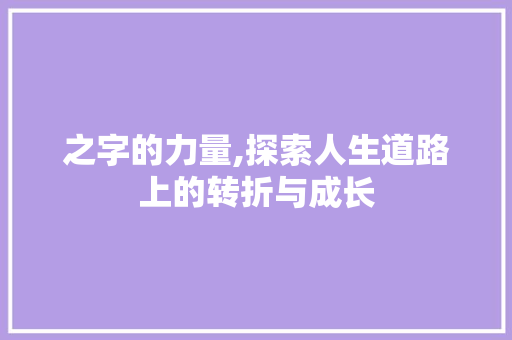 之字的力量,探索人生道路上的转折与成长
