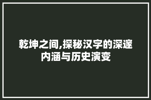 乾坤之间,探秘汉字的深邃内涵与历史演变