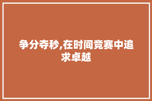争分夺秒,在时间竞赛中追求卓越