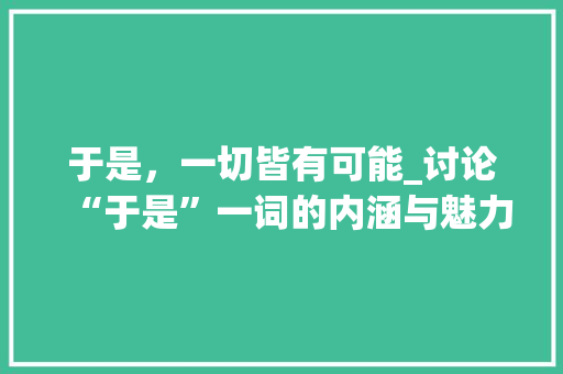 于是，一切皆有可能_讨论“于是”一词的内涵与魅力