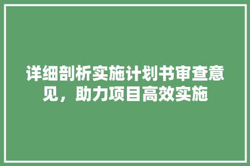 详细剖析实施计划书审查意见，助力项目高效实施