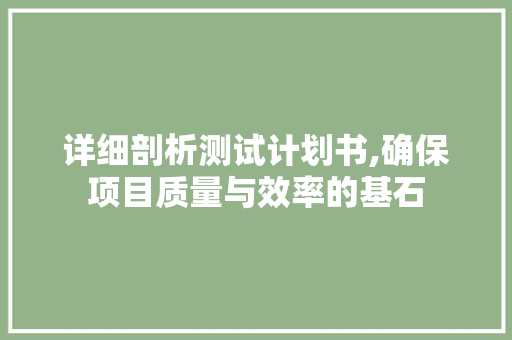 详细剖析测试计划书,确保项目质量与效率的基石