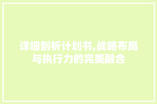 详细剖析计划书,战略布局与执行力的完美融合