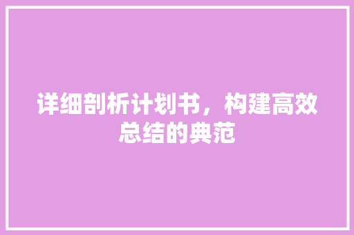 详细剖析计划书，构建高效总结的典范